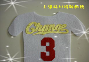 熱轉印彩色仿繡花3D印標 價格、廠家與圖片全解析